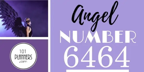 6464 angel number