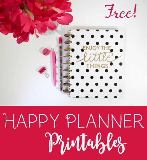 A5 Afterpay Tracker inserts, Planner pages.  Custom planner, Planner  decorating, Free printable planner stickers