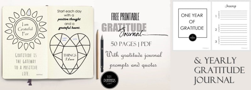 14 Day Gratitude Journal - Printable